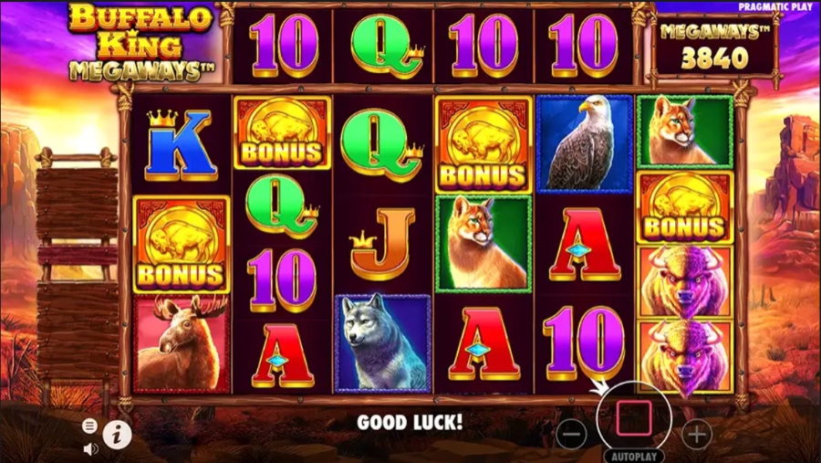 Buffalo King slot